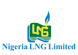 Nigeria LNG Undergraduate Scholarship Past Questions and Answers